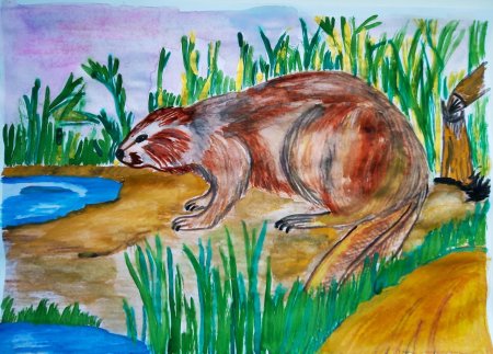 Конкурс рисунок болотные