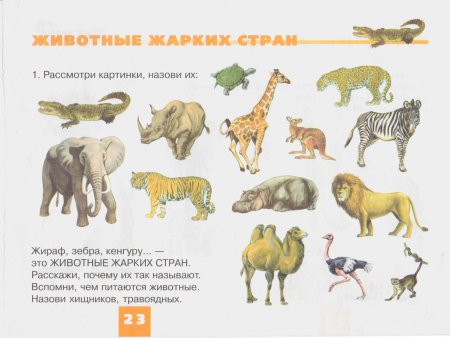 Тема животные жарких стран