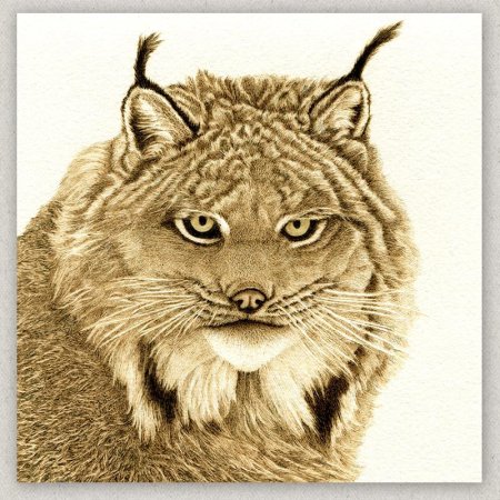 Выжигание по дереву животные