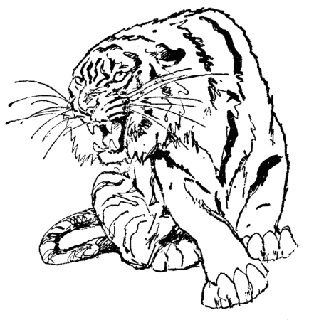 Рисунки для выжигания по дереву