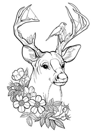 Олень для выжигания по дереву