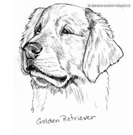 Наброски для выжигания по дереву