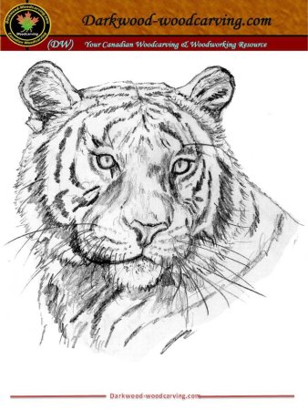 Животные для выжигания