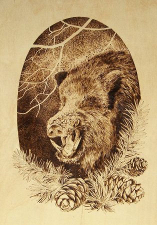 Картинки для выжигания природа