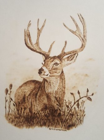 Выжигание по дереву животные