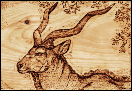 Художественное Выжигание по дереву