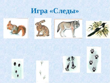 Игра Угадай чьи следы
