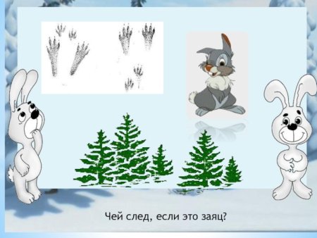 Следы зайца