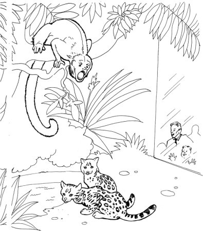Животные зоопарка раскраска