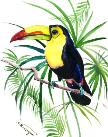 Тропические животные для детей