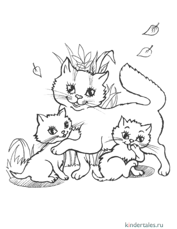 Кошки. Раскраска