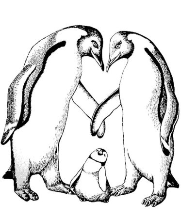 Пингвины в Антарктиде раскраска