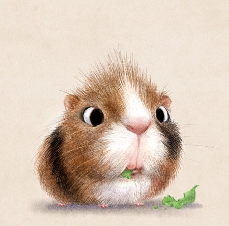 Наоми Лорд Чиби животные