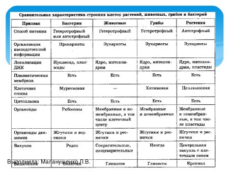 Отличительные признаки грибной клетки