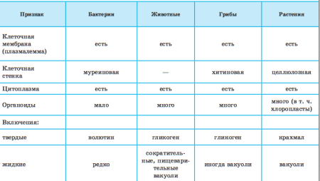 Сравнение клеток бактерий растений и животных