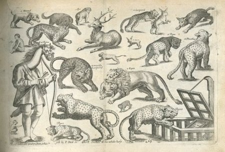 Гравюры средневековья бестиарии