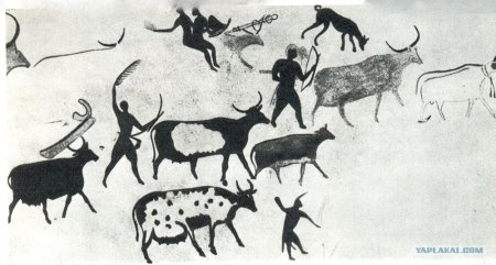 Пещера НИО Франция Бизон