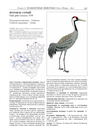 Животные и птицы Самарской области занесенные в красную книгу