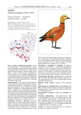 Редкие животные Самарской области занесенные в красную книгу