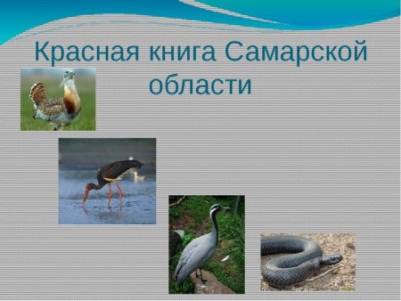 Животные Самарской области занесенные в красную