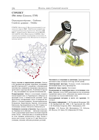 Животные и птицы Самарской области занесенные в красную книгу