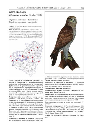 Насекомые Самарской области занесенные в красную книгу