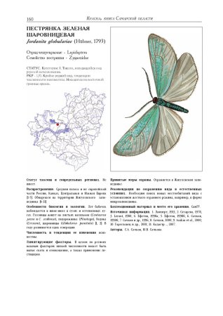 Насекомые Самарской области занесенные в красную книгу