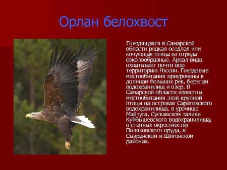 Животные Самарской области занесенные в красную книгу