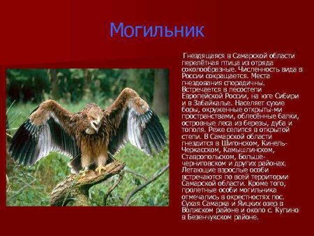 Красная книга Самарской области книга