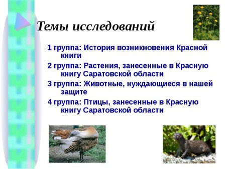 Животные Саратовской области занесенные в красную