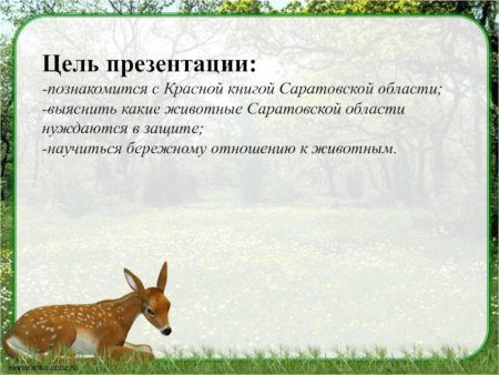 Редкие животные занесенные в красную книгу Саратовской области