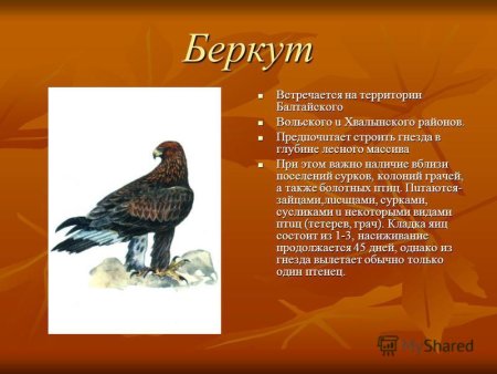 Животные и растения Саратовской обл
