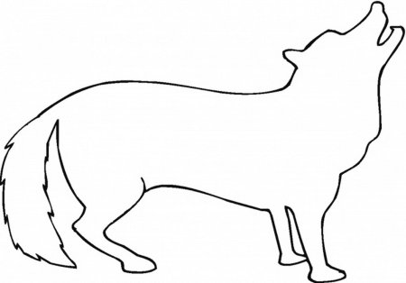 Контуры животных