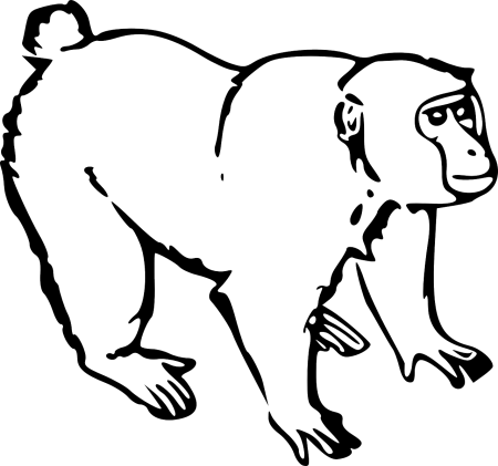 Контур зверей