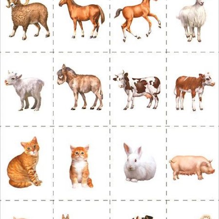 Игра домашние животные Детеныши лото