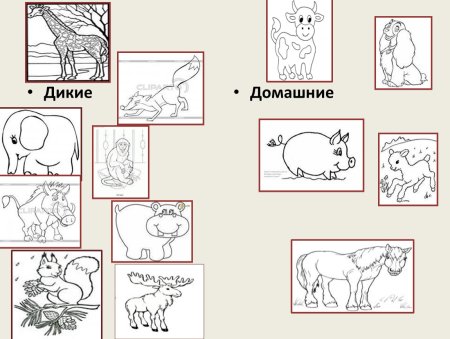 Дикие и домашние животные задания