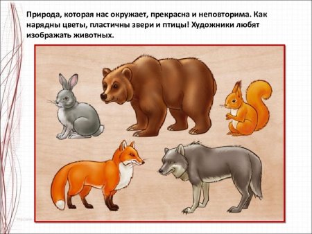 Дикие животные наших лесов