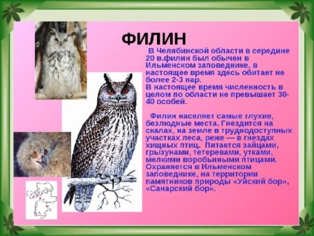 Животные красной книги Челябинской области