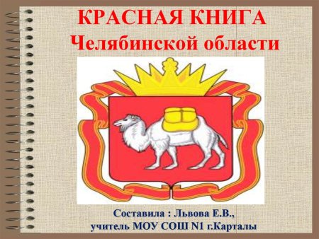 Обыкновенная выхухоль описание