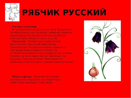Растения Челябинской области занесенные в красную