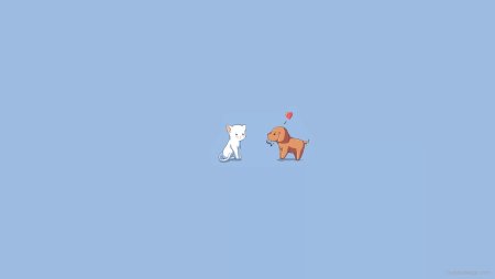 Кот Минимализм