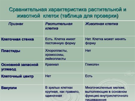Основные составляющие растительной клетки