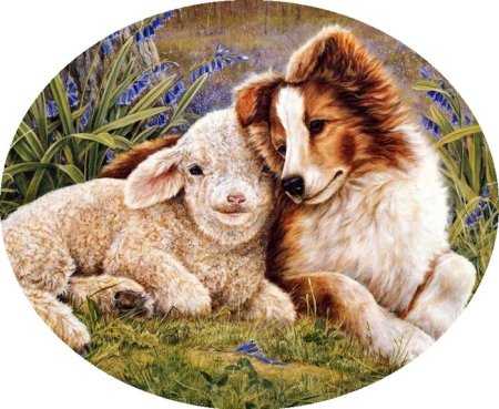 Круглые картинки с животными