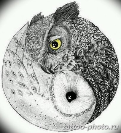 Тату Совы Инь Янь