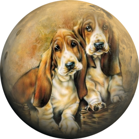 Красивые собаки в круге