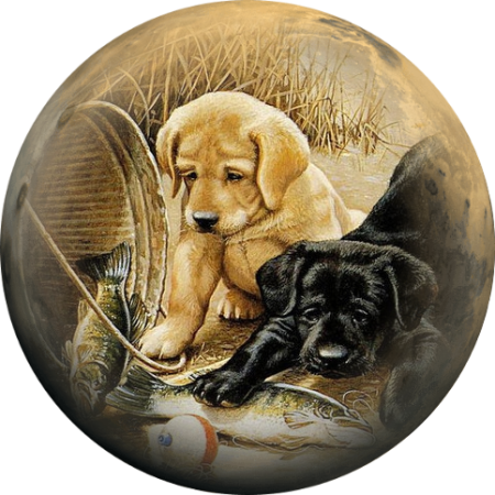 Животное в овале