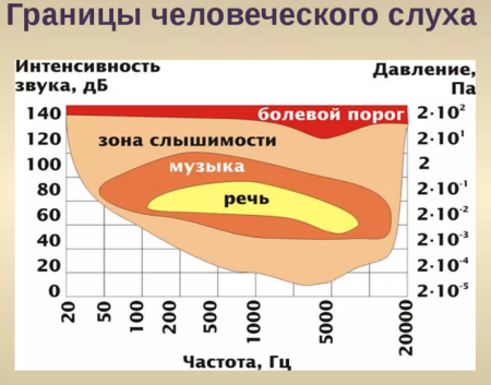 Границы человеческого слуха