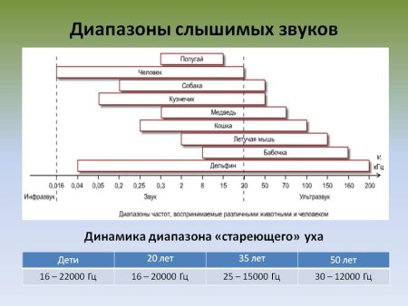Диапазон слуха человека