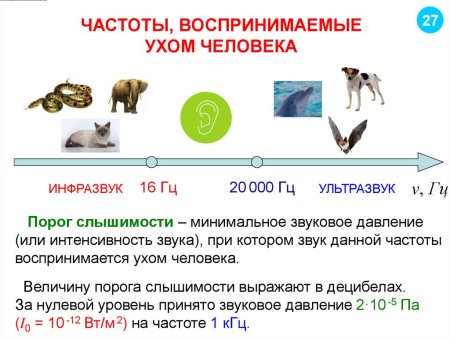 Диапазон частот воспринимаемый человеческим ухом
