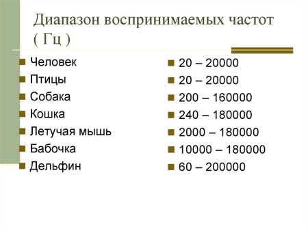 Диапазон звуковых волн воспринимаемых человеком
